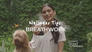 How To Do Breathwork Stay Focused and Clear  Wellness With Reshma [upl. by Dnarb]