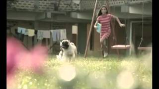 vodafone pug ad [upl. by Heeley]