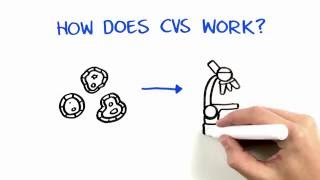 Chorionic Villus Sampling CVS [upl. by Athelstan]