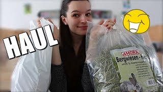 Spontaner MEERSCHWEINCHENHAUL [upl. by Philbin]