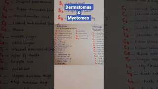 Dermatomes and Myotomes Easy to learn dermatomes myotomes notes physiolearning keepsupporting [upl. by Eladnyl]