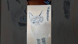 Pyewacket the Cat catartist felineart catdrawing art catillustration catsketch catart [upl. by Llered851]