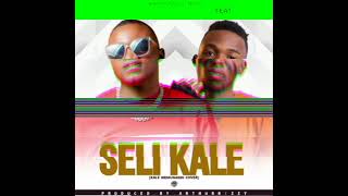 Under Gee ft Yo MapsSeli Kale audio [upl. by Chemarin]