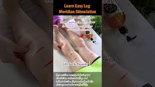 Learn Easy Leg Meridian Stimulation [upl. by Bluma]