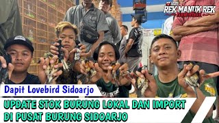 UPDATE STOK BURUNG LOKAL DAN IMPORT DI PUSAT BURUNG SIDOARJO [upl. by Berghoff]