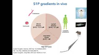 Sphingosine 1Phosphate Signaling From the Receptor Signaling Mechanisms to Novel Therapeutics [upl. by Studnia437]