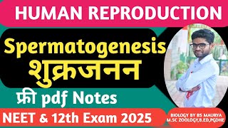 SPERMATOGENESIS शुक्रजनन FORMATION OF SPERMNEET amp 12th Human ReproductionBiology Classes [upl. by Denie]