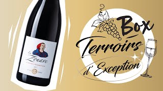 Crozes Hermitage Rouge 2017 quot Le Zouave quot Domaine Esprit [upl. by Auot]