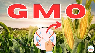 What are GMOs Genetically Modified Organisms [upl. by Aerdnaek]