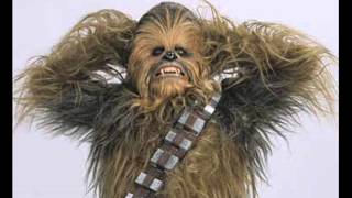 supernova chewbacca what a wookie [upl. by Essirahs]