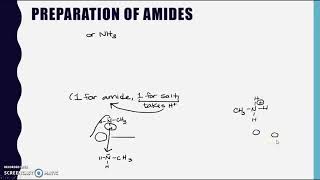 Preparation of amides [upl. by Rinaldo]