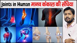 मानव शरीर की संधि  Joints In Human skeleton  Joints Of Body  Joints Of Bone  Types Of Joints [upl. by Eltsirk]