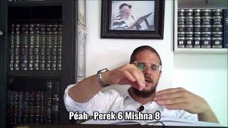 Péah  Perek 6 Mishna 8  Mer 28 Tishrei 5785 [upl. by Leahcimnoj]