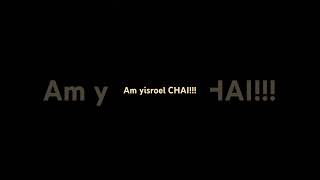 Am Yisroel CHAI [upl. by Ier731]