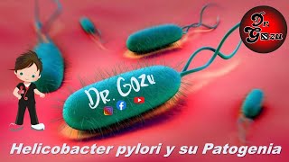 ¿ Que es el Helicobacter Pylori [upl. by Ydnarb]