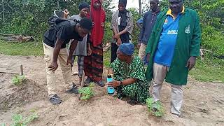 A visit to Lautech Botanical Garden [upl. by Nhguaved383]