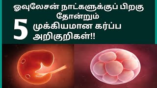 5 important pregnancy symptoms after Ovulation in Tamil  Very important pregnancy signs in Tamil [upl. by Sivaj]