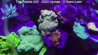 Paletta 500 Gallon Reef Tank  2023 Update  3 Years Later [upl. by Yrad]