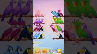 cute birds shortviral vlogs shotcutebirds bhojpuri ganashortvidtrendingshorts [upl. by Ahtimat720]