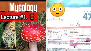 Basic mycology 🛑 LECTURE 1 Chap 47 Difference between fungi and bacteria hyphaeyt Lab diagnosis [upl. by Alohcin]