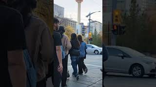 Walking in the downtown Calgary shorts walking downtowncalgary canada subscribe [upl. by Samuelson801]