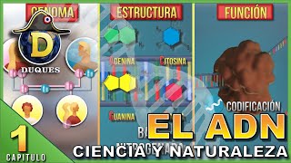 ADN 🧬  Estructura Función Genoma [upl. by Tnecnivleahcim]