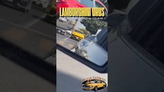 LAMBORGHINI URUS 2019 en CELAYA GTO celayaexoticos [upl. by Enedan]