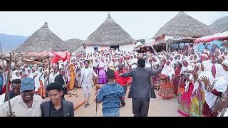 Wedding of Kifil Zere and Roza Simon quotብርጀዲ መዓብዲquot Eritrea Enchinaq Part two [upl. by Maffei]