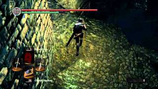 Dark Souls  Four Kings Shortcut  New Londo Ruins [upl. by Ellehsyt]