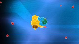 Ubiquitin System Animation  Nobel Prize in Chemistry 2004 Technion [upl. by Castle]