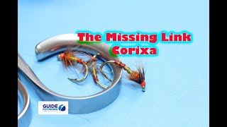 Fly Tying The Missing Link Corixa [upl. by Levins955]