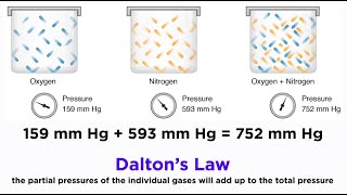 Daltons Law and Partial Pressures [upl. by Egin920]