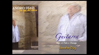 Leandro Díaz  Bajo el Palo de Mango  Guitarra  Novela [upl. by Wilkins817]