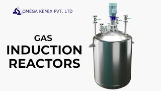 GAS INDUCTION REACTORS  OKPL  Omega Kemix Pvt Ltd [upl. by Llesram909]