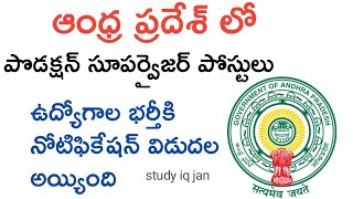 TTD Jobs Notification 2024  TTD Latest Notification  TTD Jobs  Ap Jobs  Study iq jan [upl. by Rednas651]