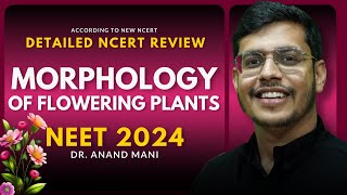 Morphology Of Flowering Plants In One Shot  Detailed NCERT Review  NEET 2024  Dr Anand Mani [upl. by Ardiedak]