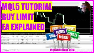 MQL5 TUTORIAL  SIMPLE BUY LIMIT EXPLAINED [upl. by Erdne928]