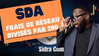 Sidra Digital Asset  Frais de Réseau Réduits Nouvelle Ère Financière [upl. by Alviani]