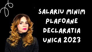 Ce salariu minim folosim la calculul plafoanelor din declaratia unica in 2023 [upl. by Anahs]