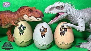 Hatch new Dinosaur Eggs with Jurassic World Dinosaurs [upl. by Nilo963]