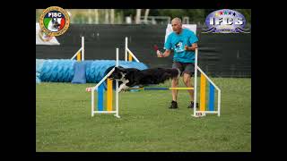 terzo raduno Team Agility Italy 2023 [upl. by Remington]