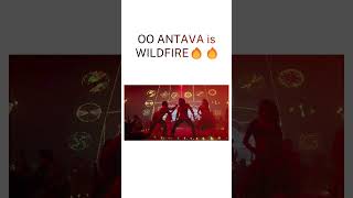 Sreeleelas KISSIK is FIRE🔥  but Samanthas OO ANTAVA is WILDFIRE🔥🔥 [upl. by Elttil]