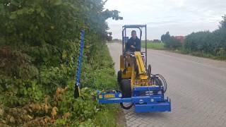 Knikmops 100 telescoop hedge cutting [upl. by Freeland113]