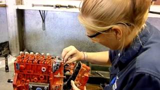 Apprentice Diesel Fuel Injection Fitter  Try it for 5 [upl. by Anidal]