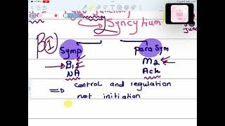 CVS Physiology  Physiology of Cardiac Muscle I  Mutah [upl. by Annaynek]