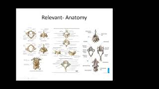 Cervical Spondylotic Myelopathy [upl. by Wilinski933]