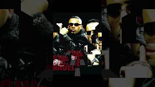 Wisin Y Yandel Rakata [upl. by Lipscomb]