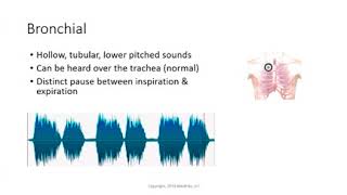 Bronchial breath sounds [upl. by Ajak]