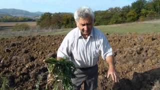 KeBio Agricoltura Naturale Pasquale e lOrto Sinergico [upl. by Xirdnek275]