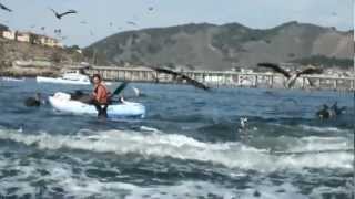 Humpback Whale VS 2 Women in kayaks [upl. by Dolan]